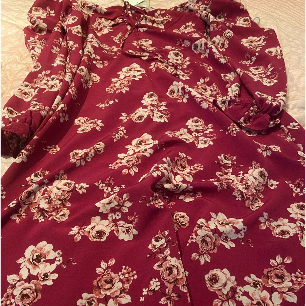 Floral Dress by Lily Rose  Large  nwt